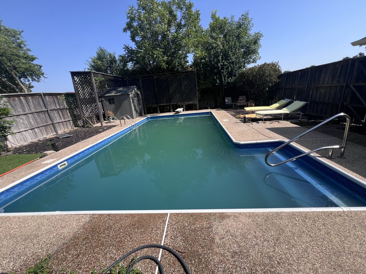 The pool as found on day one, water clouded green