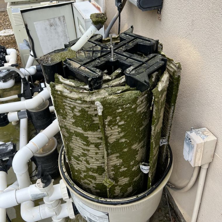 DE filter grids caked in green algae, pulled from a working tank