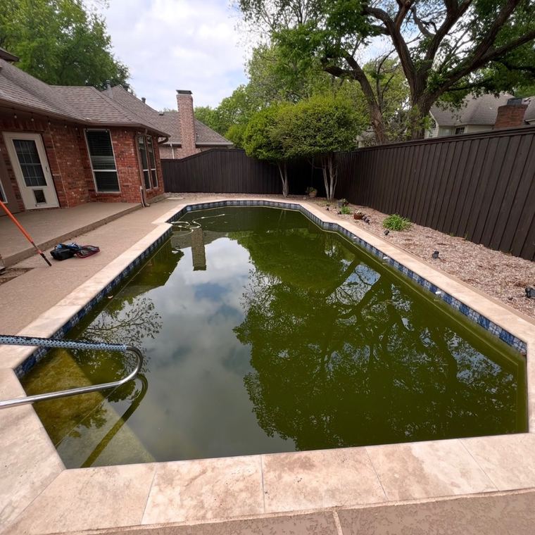 A dark green swamp pool before rescue